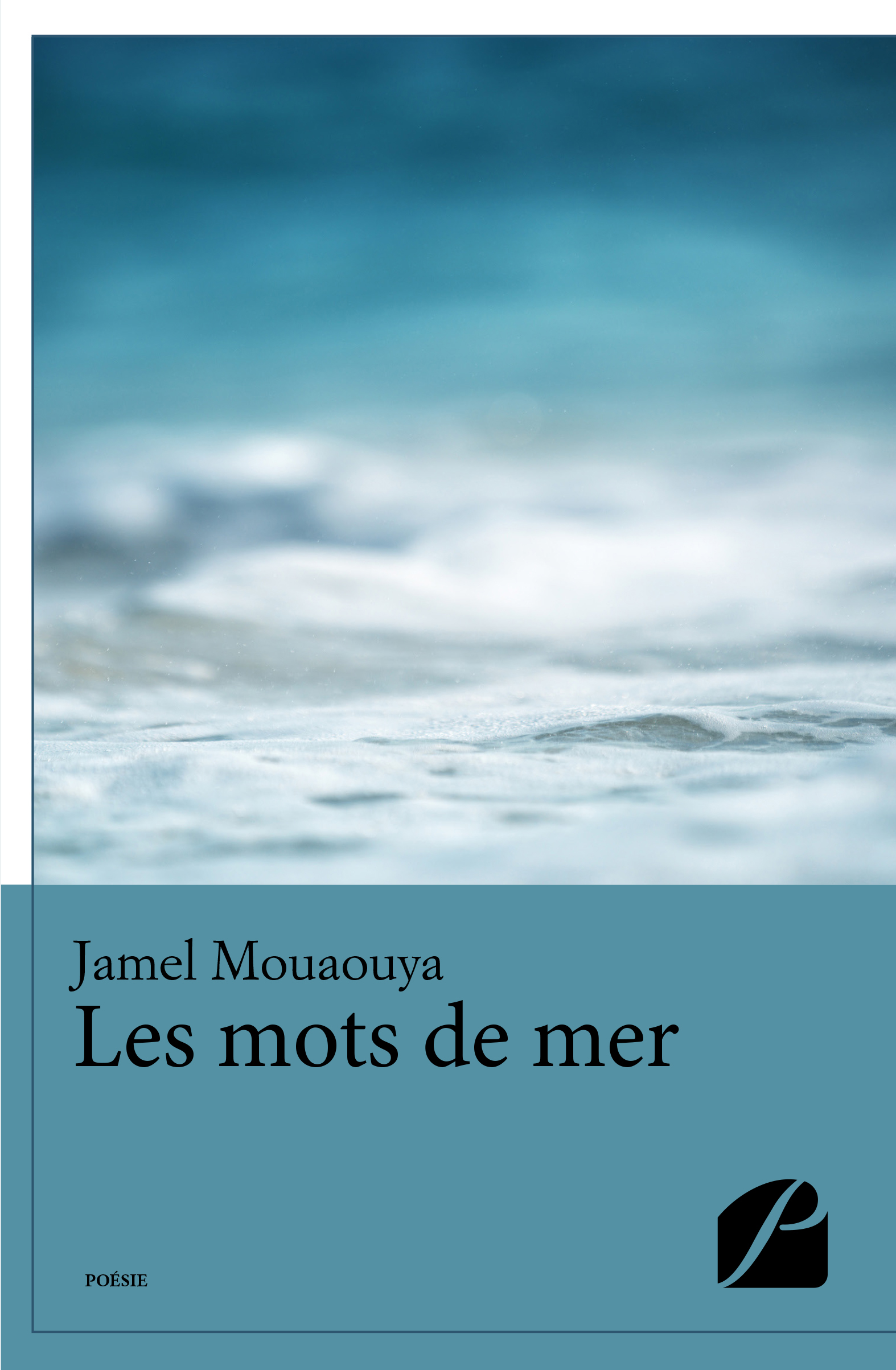 Les mots  de  mer  ditions du Panth on